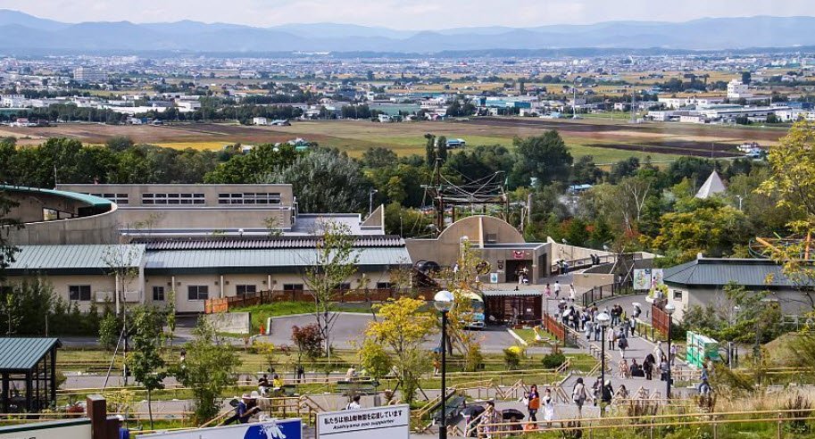 Asahiyama Zoo , Japan